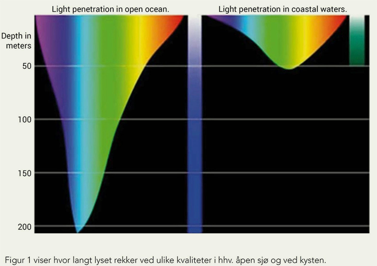 Lys Lysbehov hos laks og belysning av laksemerder. RedOx
